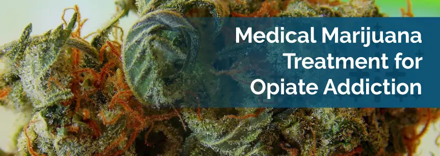 Medical Marijuana Treatment for Opiate Addiction