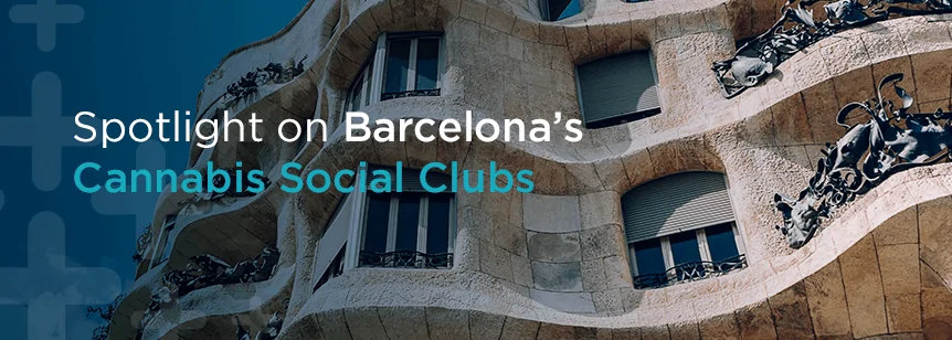 Spotlight on Barcelona’s Cannabis Social Clubs