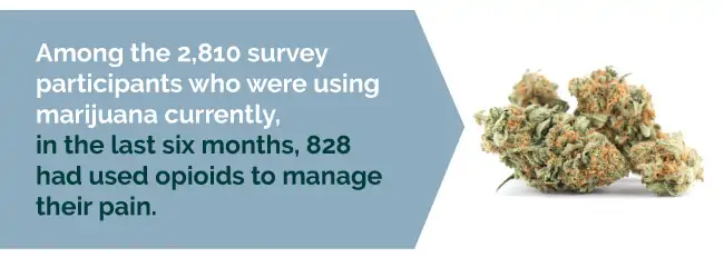 In study of 2,810 participants, 828 had used opioids to manage pain