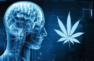 Medical Marijuana Uses for Treating Mental Illness