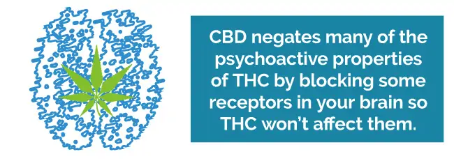 CBD negates many of the psychoactive properties of THC by blocking some receptors in your brain so THC won't affect them