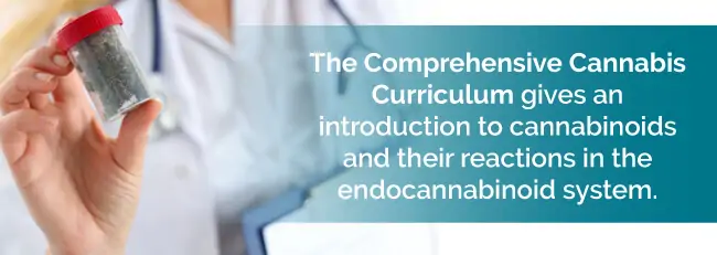 comprehensive cannabis curriculum