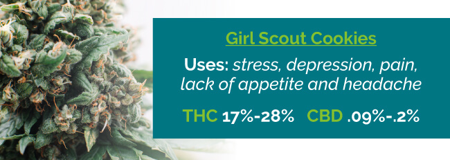 girl scout cookies girl scout cookies