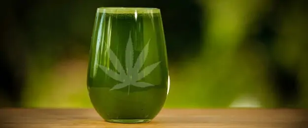 Cannabis for Juicing