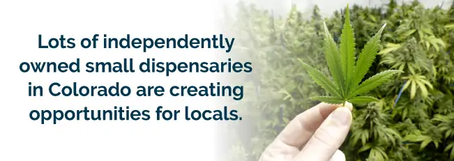 Lots of independently owned small dispensaries in Colorado are creating opportunities for locals