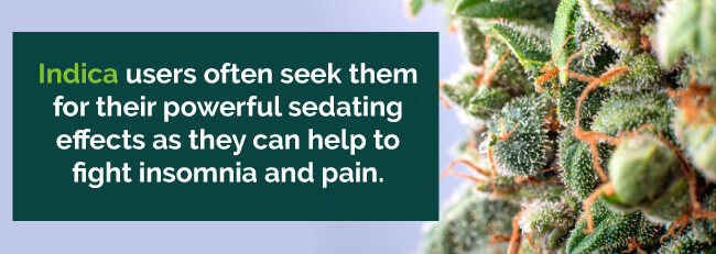 Indica strain can help fight insomnia and pain