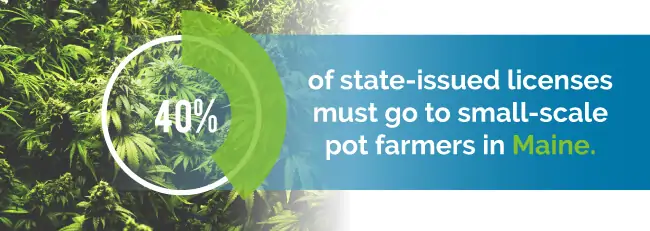 40$ of state-issued licenses must go to small-scale pot farmers in Maine