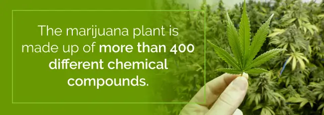 marijuana chemical compounds