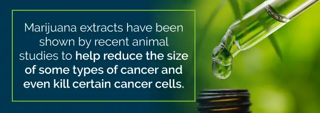 Marijuana extracts have been shown by recent animal studies to help reduce the size of some types of cancer and even kill certain cancer cells
