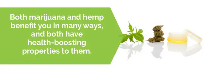 marijuana hemp benefits
