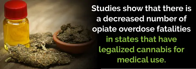 marijuana lower fatalities