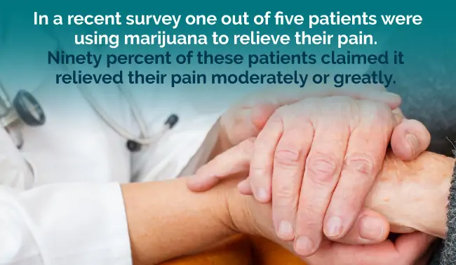 In a recent survey, one out of five patients were using marijuana to relieve their pain