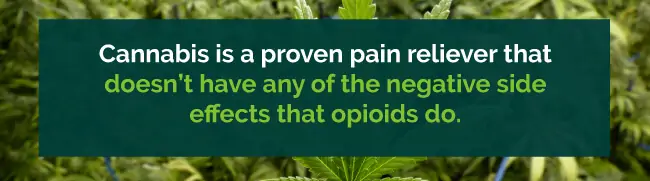 marijuana vs opioids