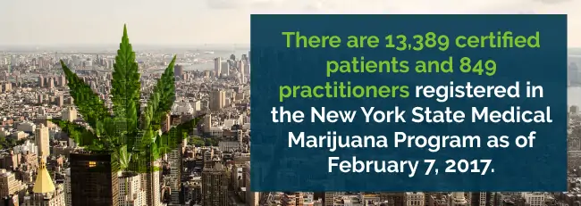 There are 13,389 certified patients and 849 practitioners registered in the New York State Medical Marijuana Program as of February 7, 2017