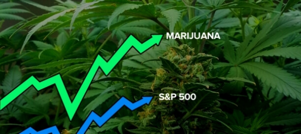 Buying Stock in Marijuana Companies