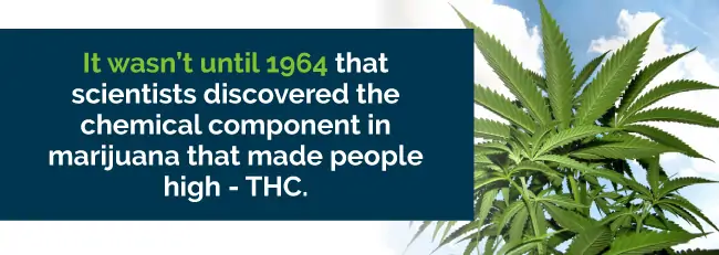 thc discovered in 1964