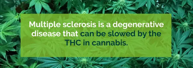 thc for ms