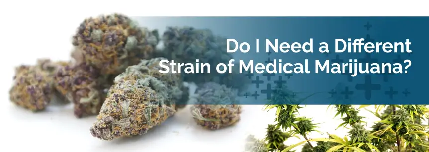 Do I Need a Different Strain of Medical Marijuana