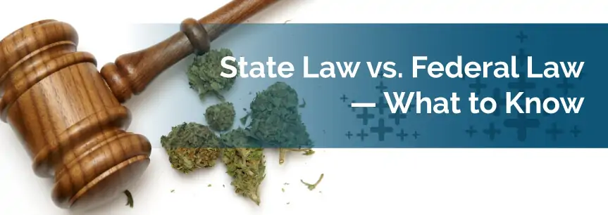 State vs. Federal Cannabis Laws — What to Know