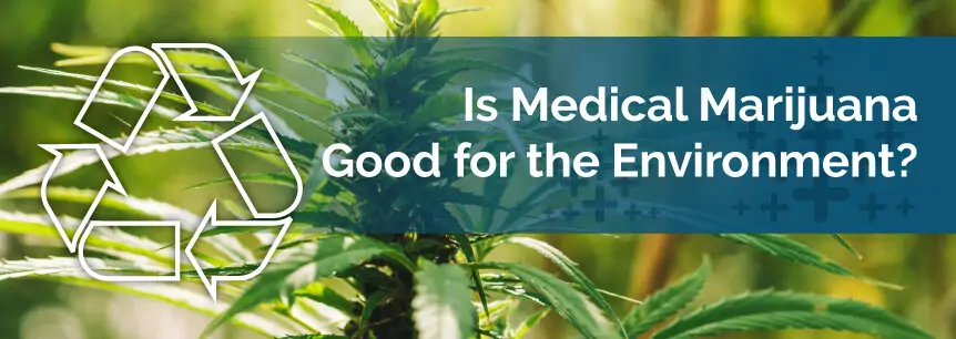 Is Medical Marijuana Good for the Environment
