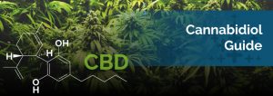 20-Your-Guide-To-Cannabidiol-300x106.jpg