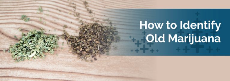 How to Identify Old Marijuana