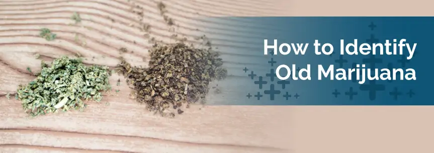 How to Identify Old Marijuana