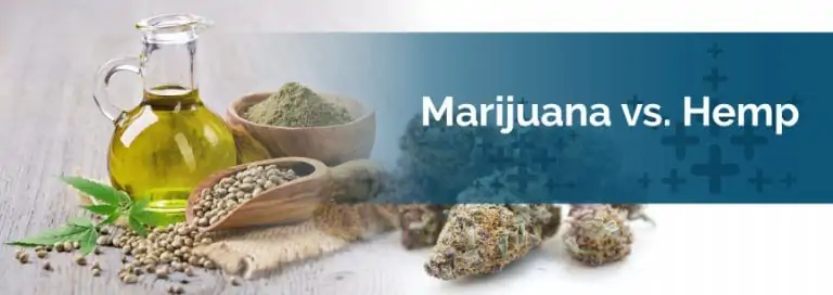 Marijuana vs. Hemp