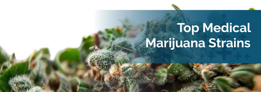 10 Top Medical Marijuana Strains for Your Health