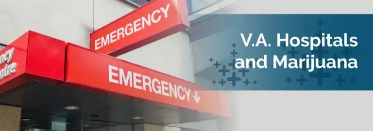 V.A. Hospitals and Marijuana