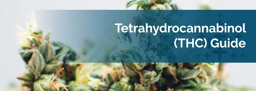 Tetrahydrocannabinol (THC) Guide