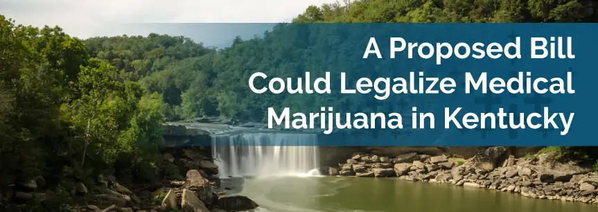 A Proposed Bill Could Legalize Medical Marijuana in Kentucky