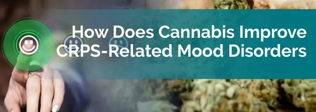 How Does Cannabis Improve CRPS-Related Mood Disorders