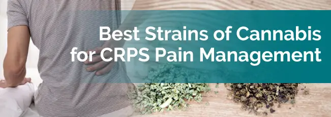 Best Strains of Cannabis for CRPS Pain Management
