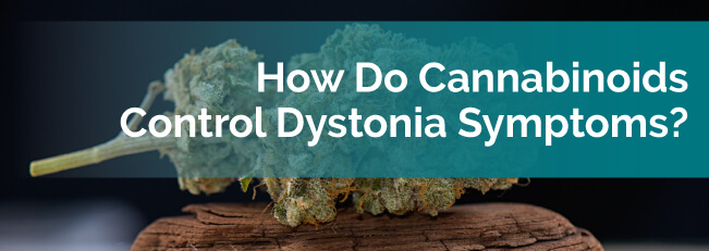 How Do Cannabinoids Control Dystonia Symptoms