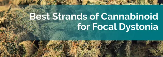 Best Strands of Cannabinoid for Focal Dystonia