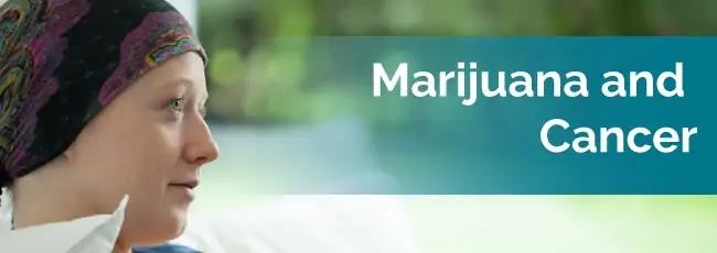 marijuana for cancer
