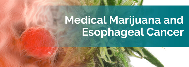 marijuana and esophageal cancer