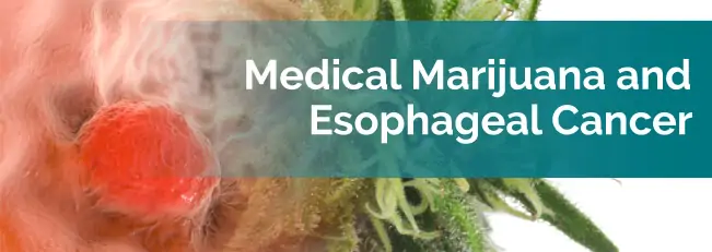 marijuana and esophageal cancer