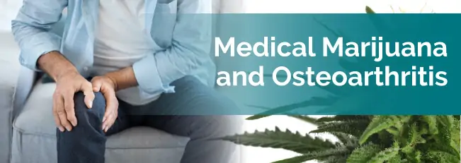 Medical Marijuana and Osteoarthritis