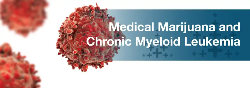 marijuana chronic myeloid leukemia
