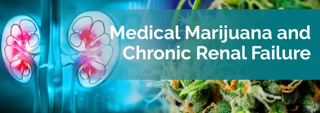 marijuana chronic renal failure