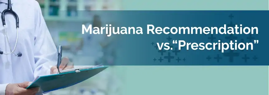 Marijuana Recommendation vs. Marijuana Prescription