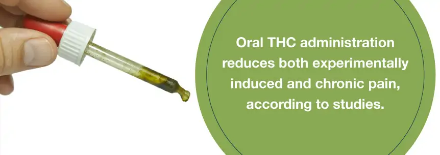 oral cbd oil