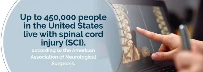spinal cord injury rate