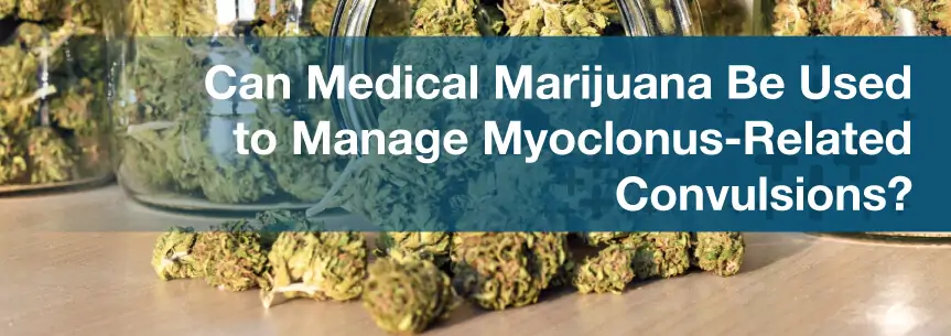 Can Medical Marijuana Be Used to Manage Myoclonus-Related Convulsions?