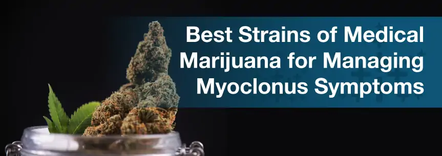 Best Strains of Medical Marijuana for Managing Myoclonus Symptoms