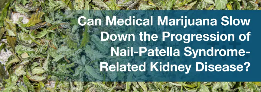 Can Medical Marijuana Slow Down the Progression of Nail-Patella Syndrome-Related Kidney Disease?