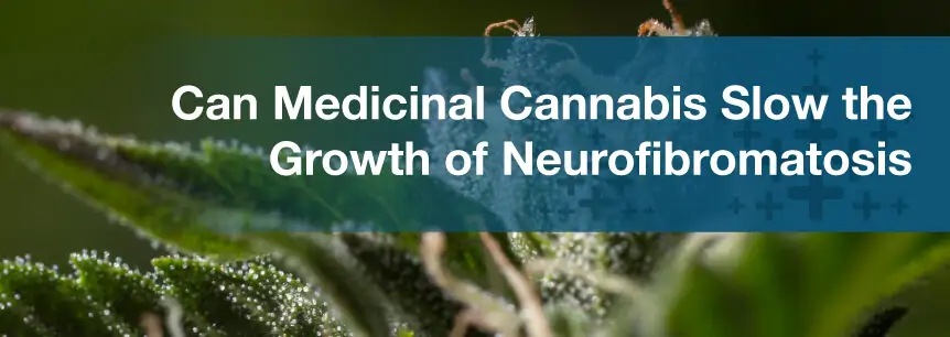 Can Medicinal Cannabis Slow the Growth of Neurofibromatosis Tumors?