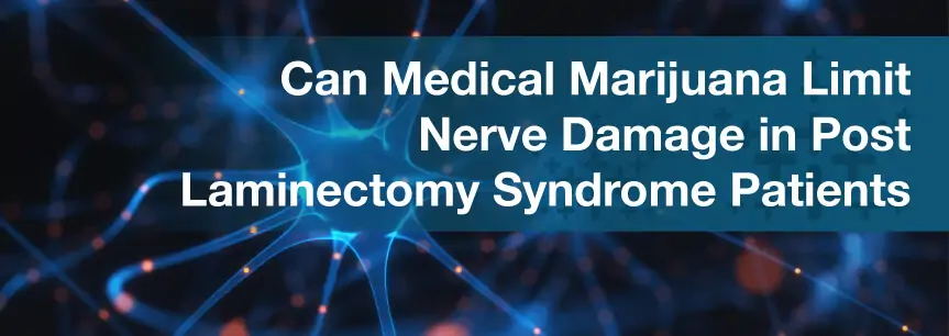 Can Medical Marijuana Limit Nerve Damage in Post Laminectomy Syndrome Patients